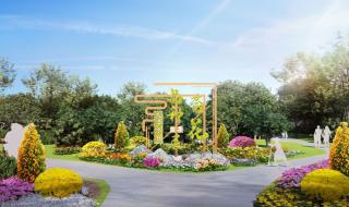深圳东湖公园菊花展