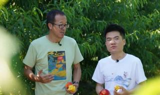 董宇辉俞敏洪访谈张艺谋