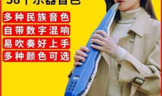 电吹管排名前十名的品牌