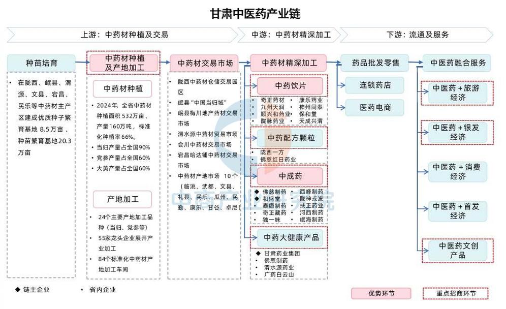 中医药现代化（循证医学研究）（中医药现代化研究的意义）