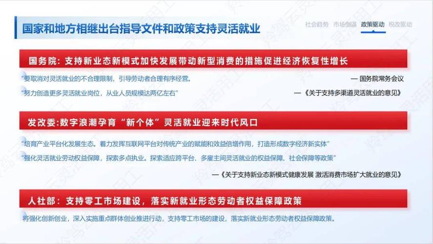 灵活就业保障(新业态劳动者权益)(灵活就业领域)