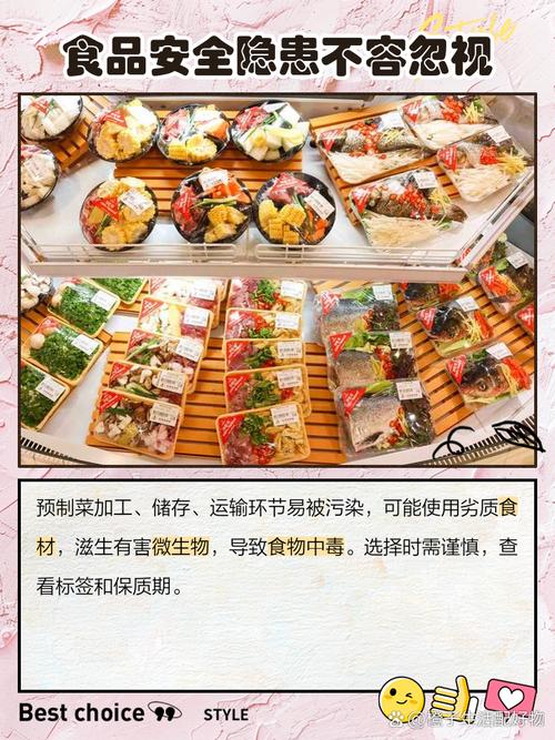预制菜安全(行业标准制定)(预制菜的弊端)