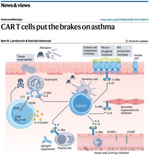 细胞治疗（CAR-T技术应用）（cart细胞治疗产业研究报告）