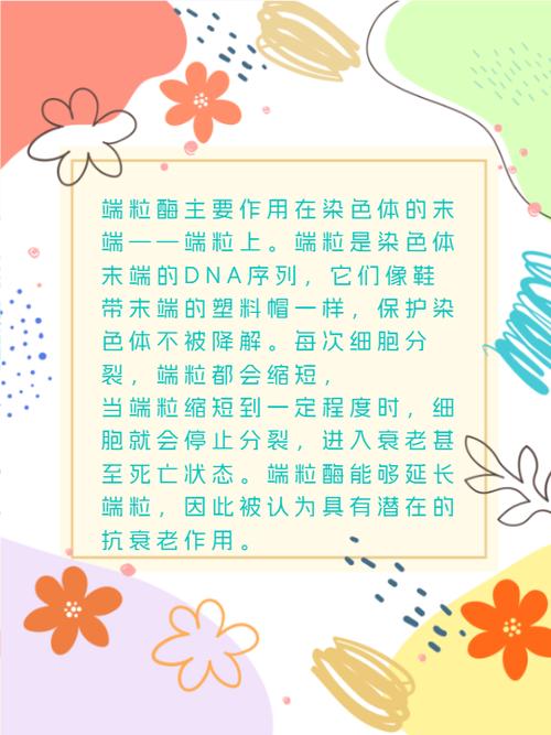 抗衰老研究(端粒酶激活)(端粒酶激活剂)