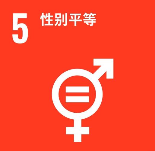 性别平等议题（性别平等的案例）