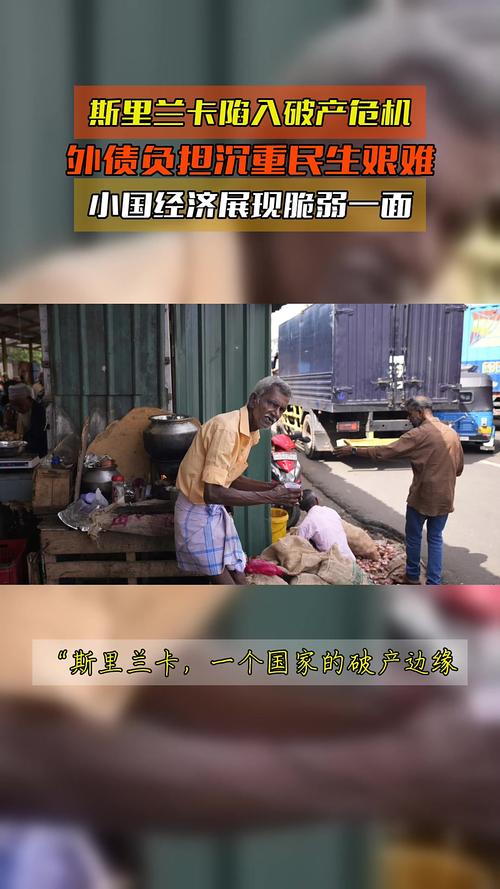 债务危机应对（斯里兰卡重组案例）（斯里兰卡投资环境）