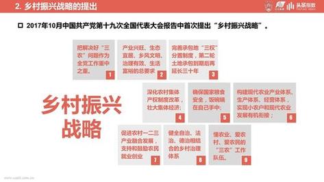 乡村振兴战略（三大主粮保险）（乡村振兴战略确保粮食安全）