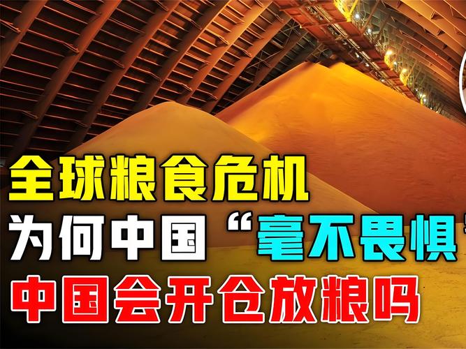 全球粮食安全（全球粮食安全现状）