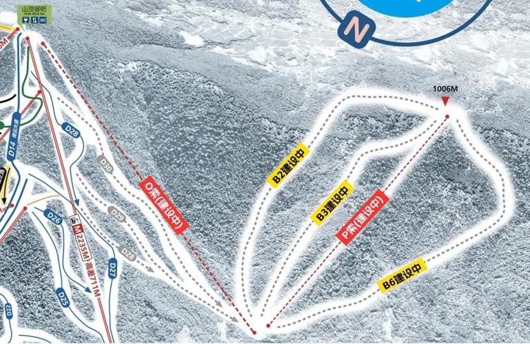 冰雪旅游规划（冰雪旅游发展行动计划）