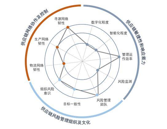 供应链韧性建设(供应链 韧性)
