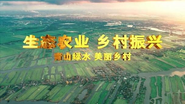 农业农村现代化推进(推进农业农村现代化措施)