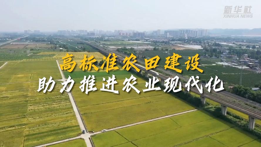 农业农村现代化推进(推进农业农村现代化措施)