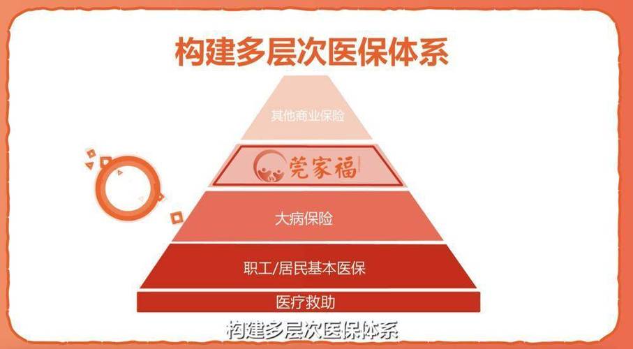 医保体系覆盖（我国医疗保障体系覆盖人群不包括）