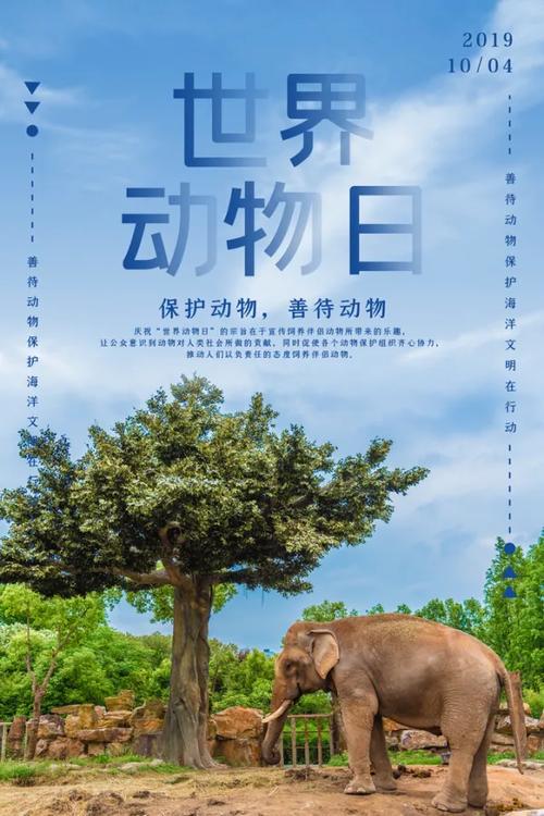 野生动物保护(野生动物保护日)