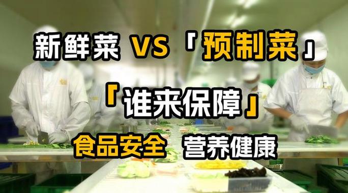 预制菜安全争议（预制菜概念）