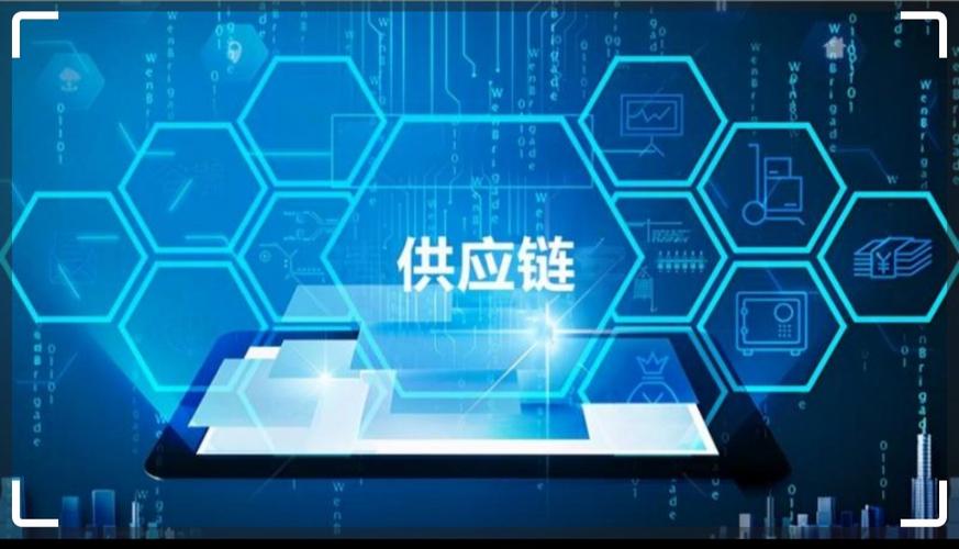 供应链韧性(关键矿产储备)(供应链产业链稳定)