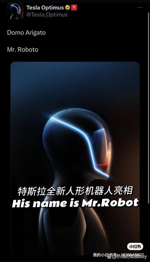 特斯拉人形机器人（特斯拉人形机器人概念股龙头）