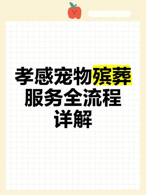宠物殡葬规范化（宠物殡葬政策）