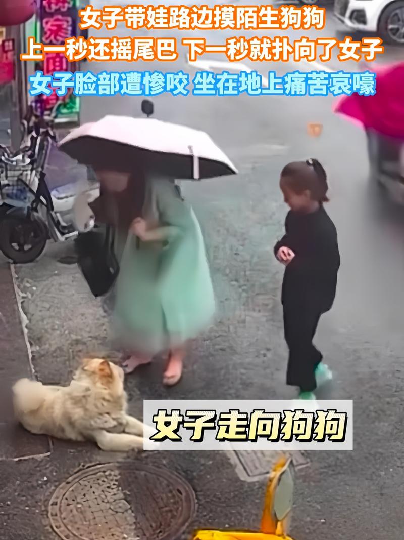宠物伤人事件（宠物伤人发生的事件）