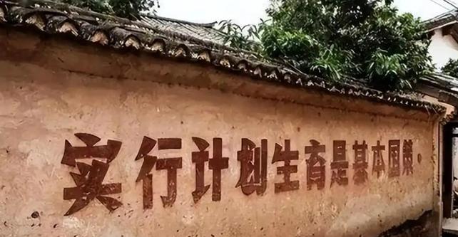 退林还耕补偿纠纷(退耕还林征地补偿)
