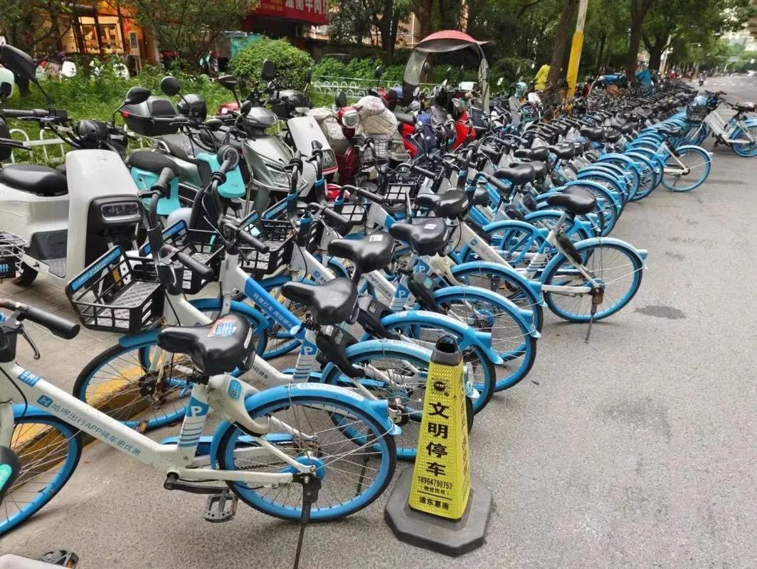 共享单车乱停治理（共享单车乱停治理工作总结）