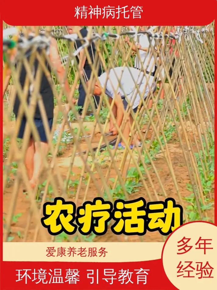 精神障碍患者托管(精神障碍患者托管服务中心注册手续)
