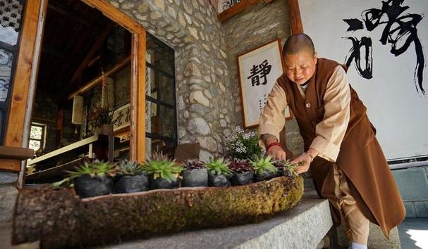 寺庙青年爆火（梦见擦窗户框）