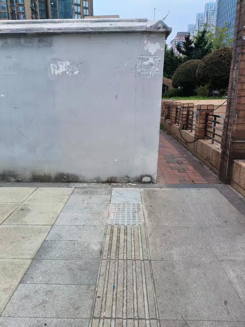 盲道占用清除行动（盲道占用情况）