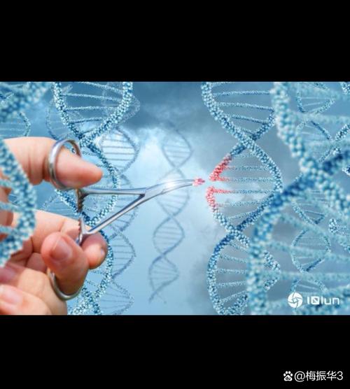 生物科技突破（基因编辑临床应用）（基因编辑生物谷）