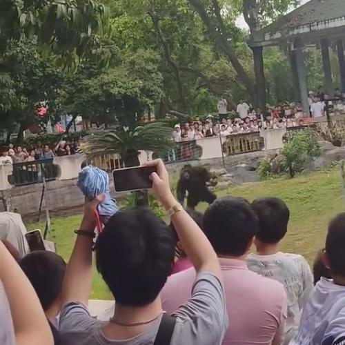 网红景点伤亡事件(2021网红景点)