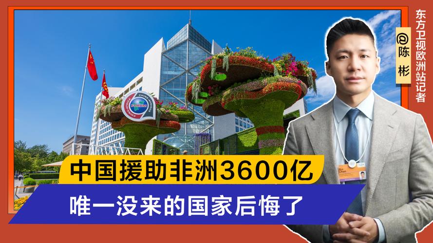 非洲发展援助（援助非洲国家）