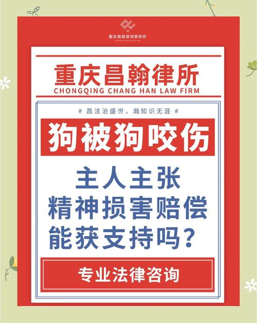 宠物被撞精神赔偿(宠物被撞伤后怎么赔偿)
