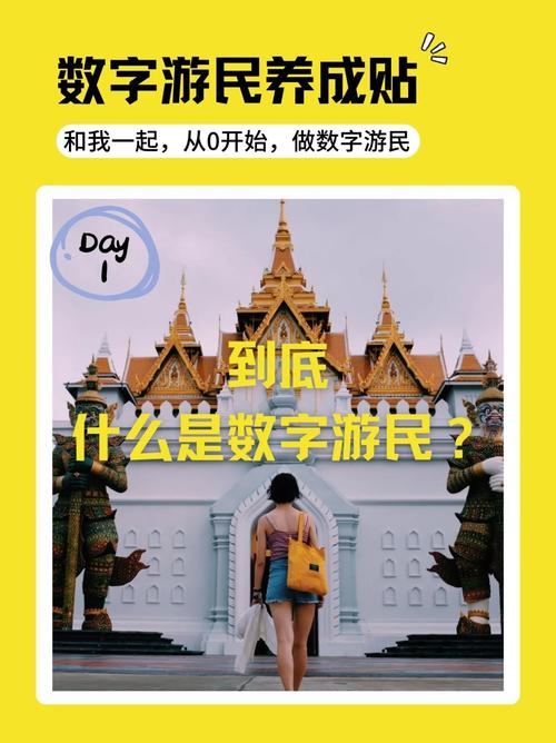 数字游民社会保障(数字化游民)