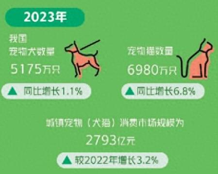 宠物人化消费(宠物人均消费)