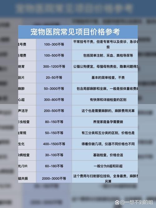 宠物人化消费(宠物人均消费)