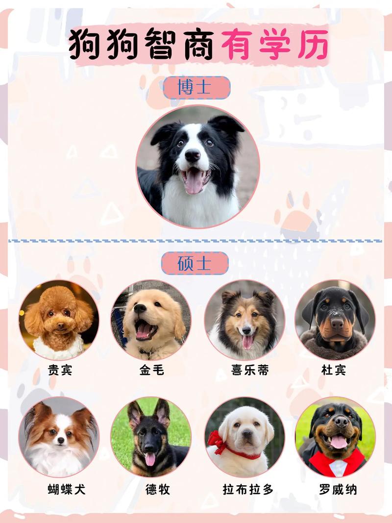 动物智商（动物智商排行榜前十名是谁）