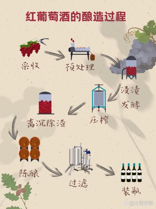 发酵原理（葡萄酒发酵原理）