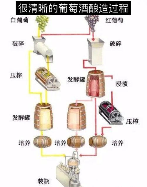 发酵原理（葡萄酒发酵原理）
