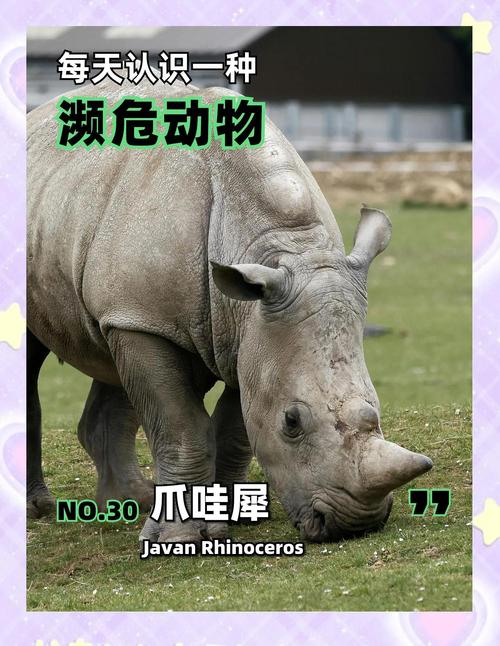 濒危物种（濒危物种的资料）