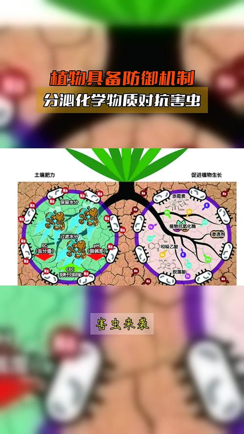 植物防御机制（植物防御机制有哪些）