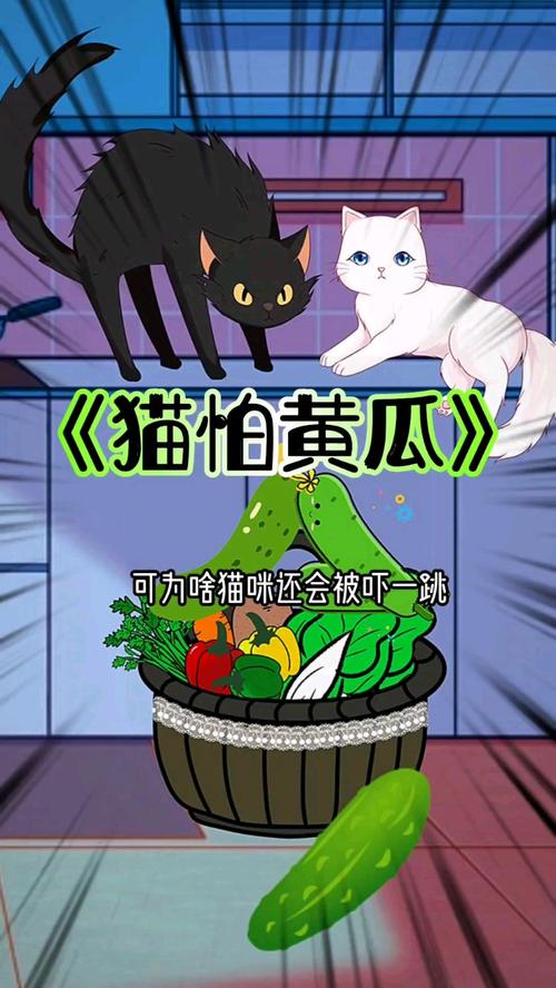 猫为什么怕黄瓜？（猫为什么怕黄瓜是真的吗）