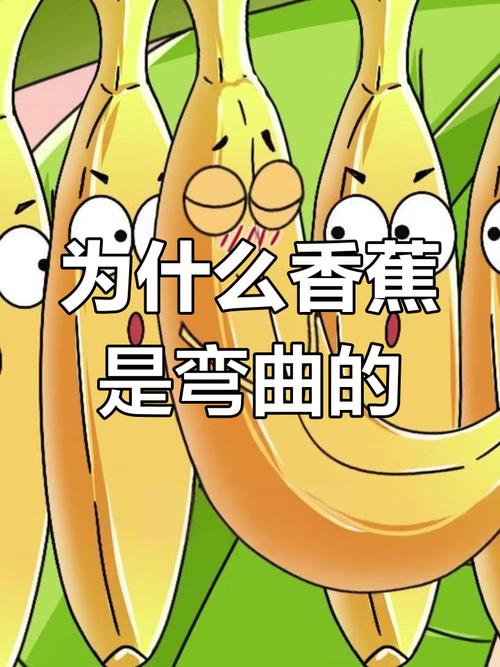 香蕉为什么是弯的？（香蕉为啥是弯的?）