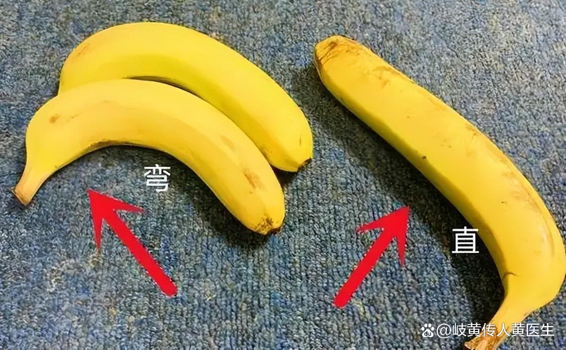 香蕉为什么是弯的？（香蕉为啥是弯的?）