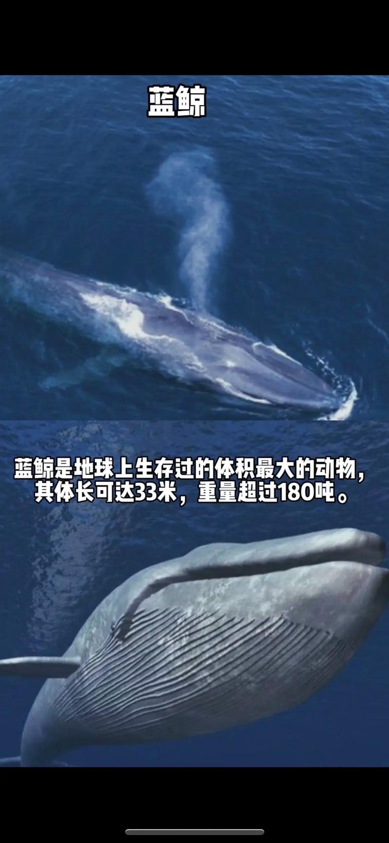 未解之谜（未解之谜网）