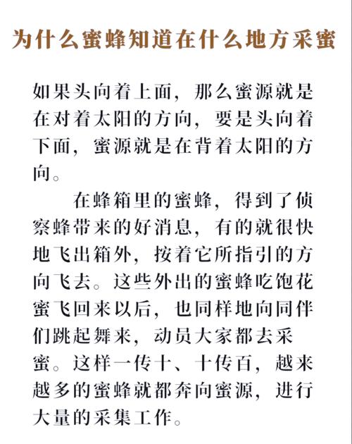 蜜蜂的舞蹈语言（蜜蜂的舞蹈语言主要用于什么）