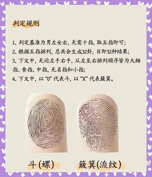 指纹的作用（指纹的作用有哪些至少说六个）
