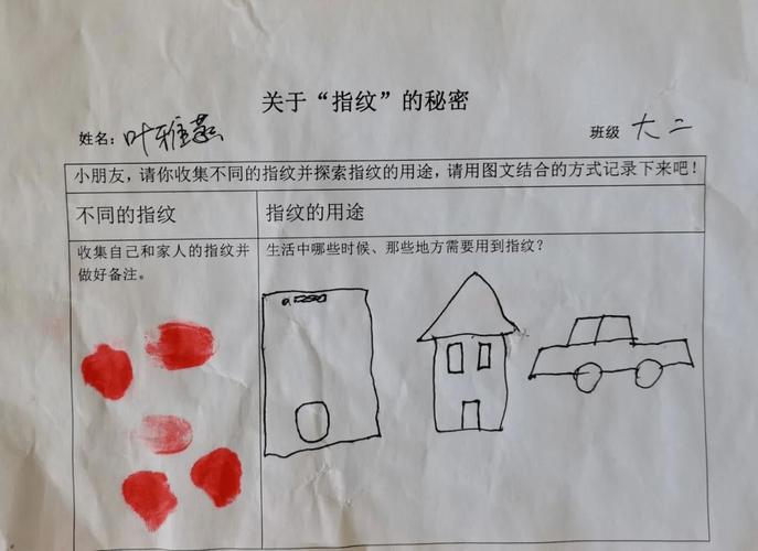 指纹的作用（指纹的作用有哪些至少说六个）